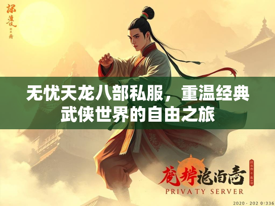 无忧天龙八部私服，重温经典武侠世界的自由之旅  第2张