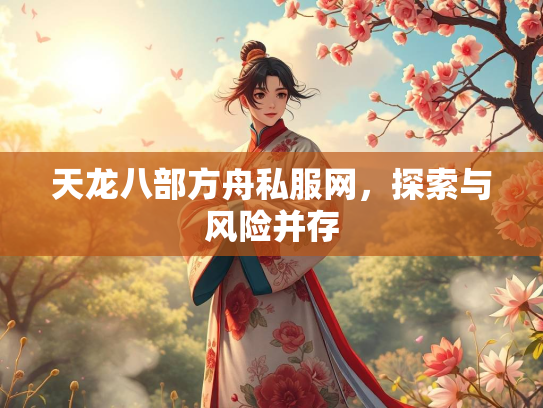 天龙八部方舟私服网，探索与风险并存  第2张