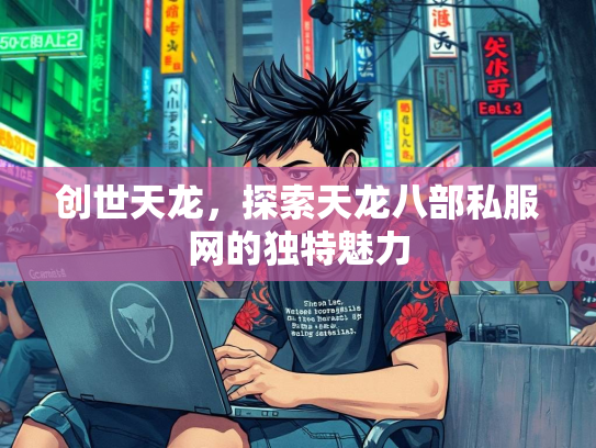 创世天龙，探索天龙八部私服网的独特魅力  第2张