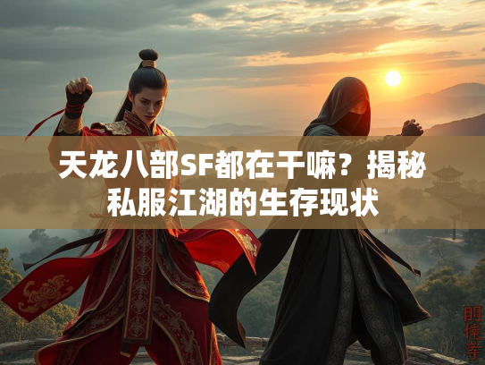 天龙八部SF都在干嘛？揭秘私服江湖的生存现状  第1张