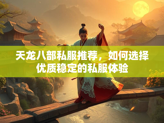 天龙八部私服推荐，如何选择优质稳定的私服体验  第2张