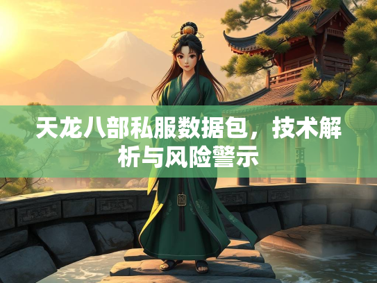 天龙八部私服数据包，技术解析与风险警示  第2张