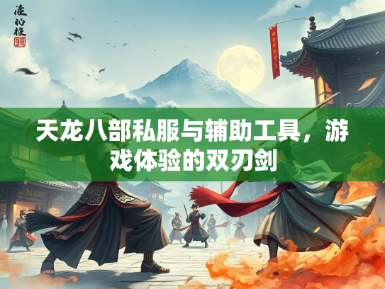 天龙八部私服与辅助工具，游戏体验的双刃剑  第2张