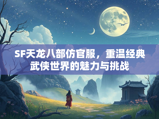 SF天龙八部仿官服，重温经典武侠世界的魅力与挑战