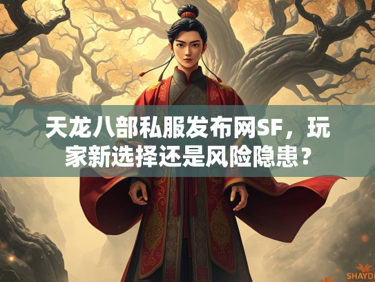 天龙八部私服发布网SF，玩家新选择还是风险隐患？  第5张