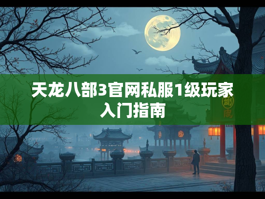 天龙八部3官网私服1级玩家入门指南  第2张