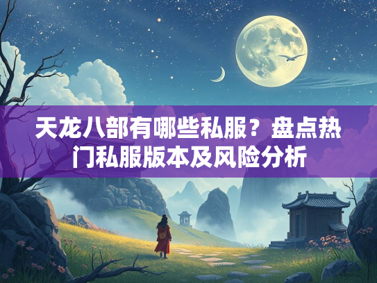 天龙八部有哪些私服？盘点热门私服版本及风险分析  第1张