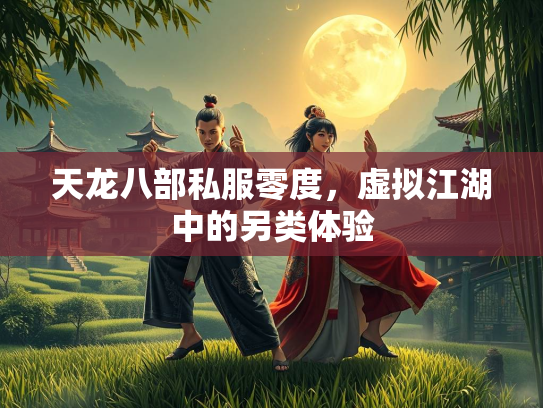 天龙八部私服零度，虚拟江湖中的另类体验  第3张