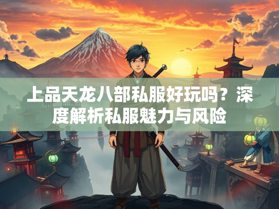 上品天龙八部私服好玩吗？深度解析私服魅力与风险  第3张