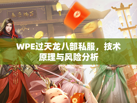 WPE过天龙八部私服，技术原理与风险分析  第3张