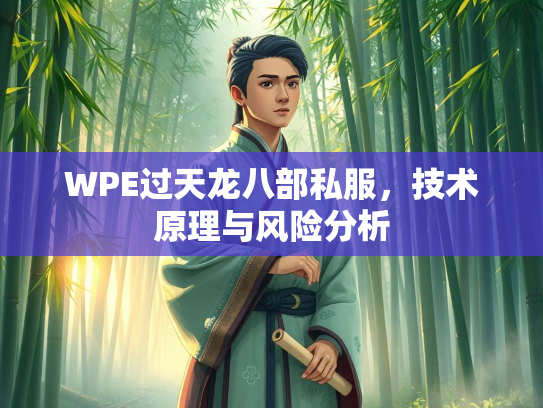 WPE过天龙八部私服，技术原理与风险分析  第1张