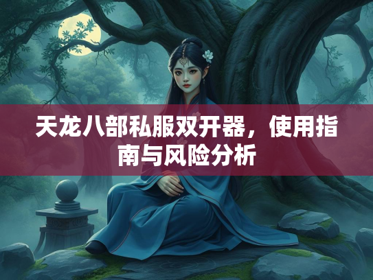 天龙八部私服双开器，使用指南与风险分析  第2张