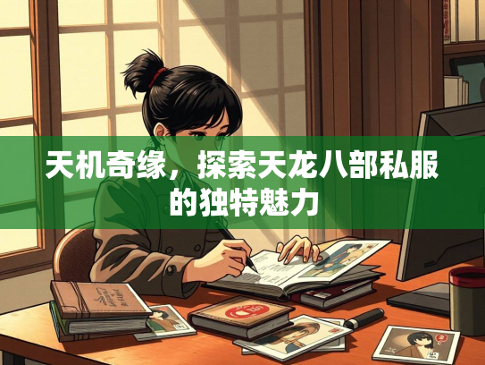天机奇缘，探索天龙八部私服的独特魅力  第2张