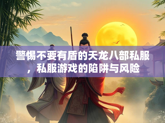 警惕不要有盾的天龙八部私服，私服游戏的陷阱与风险  第2张