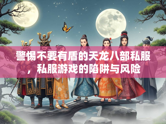 警惕不要有盾的天龙八部私服，私服游戏的陷阱与风险  第3张