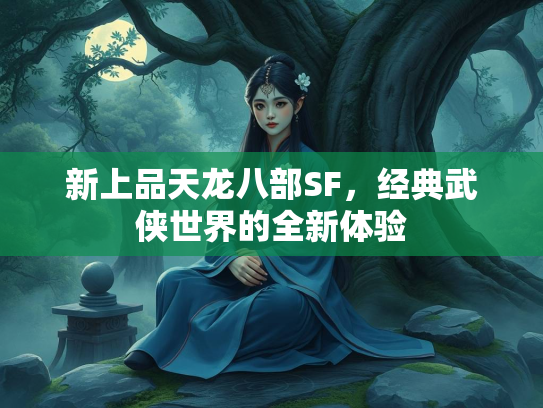 新上品天龙八部SF，经典武侠世界的全新体验  第1张