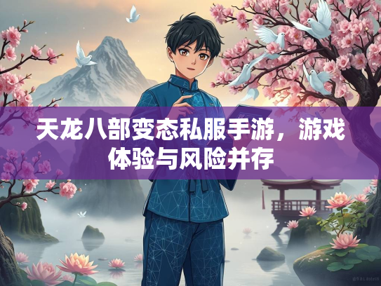 天龙八部变态私服手游，游戏体验与风险并存  第2张