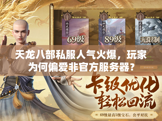 天龙八部私服人气火爆，玩家为何偏爱非官方服务器？  第2张