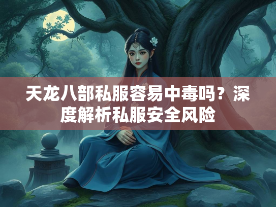 天龙八部私服容易中毒吗？深度解析私服安全风险  第2张