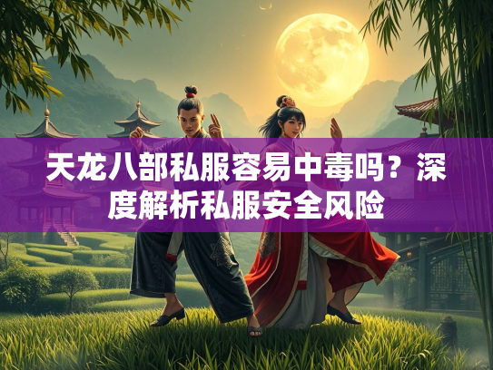 天龙八部私服容易中毒吗？深度解析私服安全风险