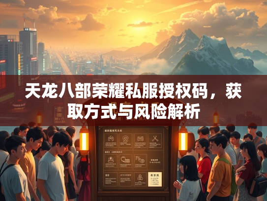 天龙八部荣耀私服授权码，获取方式与风险解析  第2张