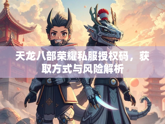 天龙八部荣耀私服授权码，获取方式与风险解析  第3张