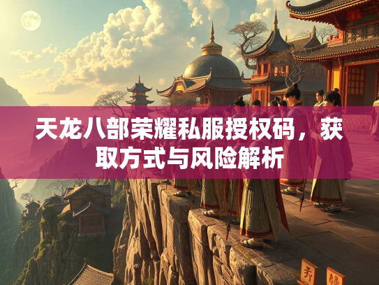 天龙八部荣耀私服授权码，获取方式与风险解析