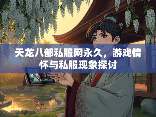 天龙八部私服网永久，游戏情怀与私服现象探讨  第2张