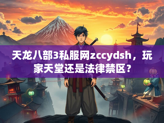 天龙八部3私服网zccydsh，玩家天堂还是法律禁区？
