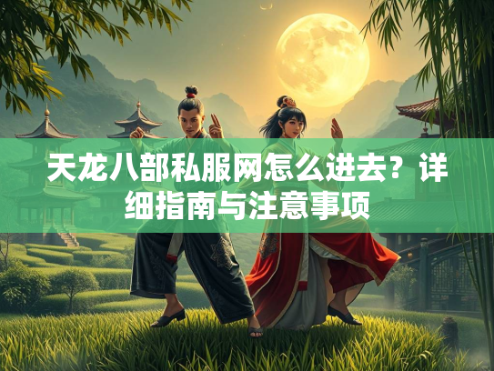 天龙八部私服网怎么进去？详细指南与注意事项