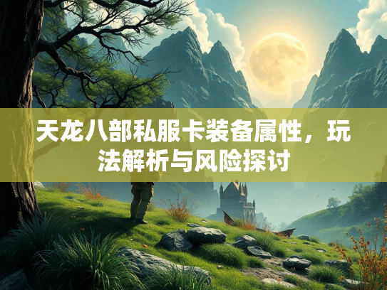 天龙八部私服卡装备属性，玩法解析与风险探讨  第3张