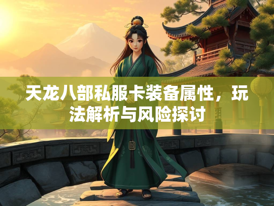 天龙八部私服卡装备属性，玩法解析与风险探讨