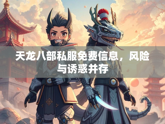 天龙八部私服免费信息，风险与诱惑并存  第2张