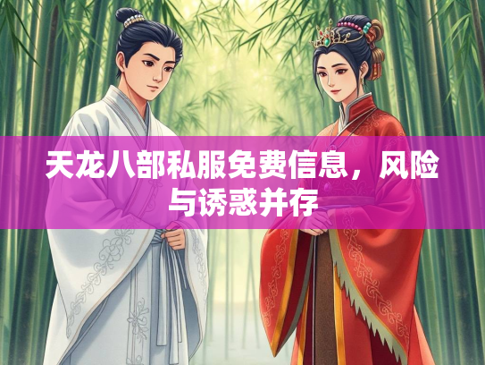 天龙八部私服免费信息，风险与诱惑并存