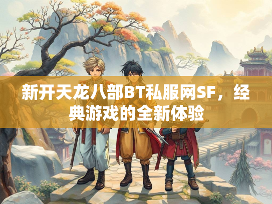 新开天龙八部BT私服网SF，经典游戏的全新体验  第2张