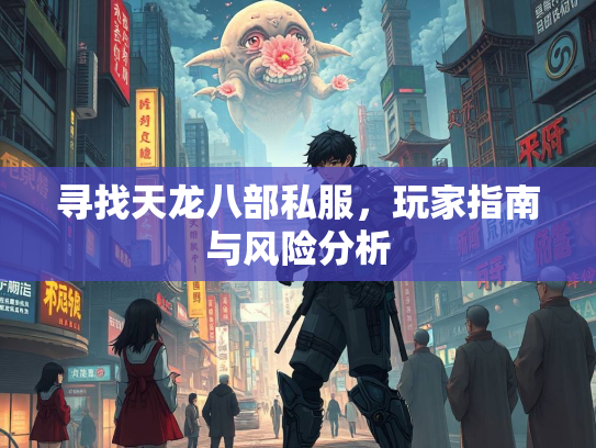 寻找天龙八部私服，玩家指南与风险分析  第3张