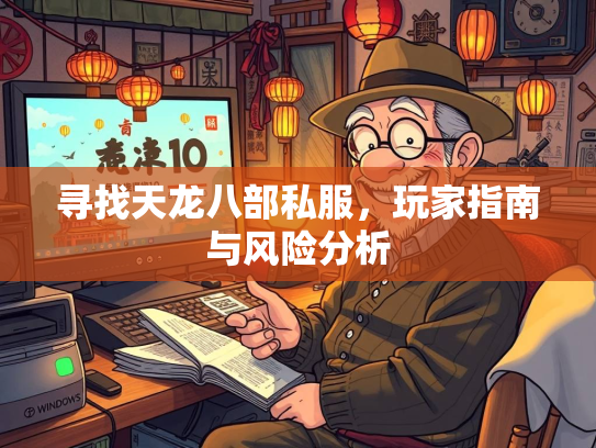 寻找天龙八部私服，玩家指南与风险分析