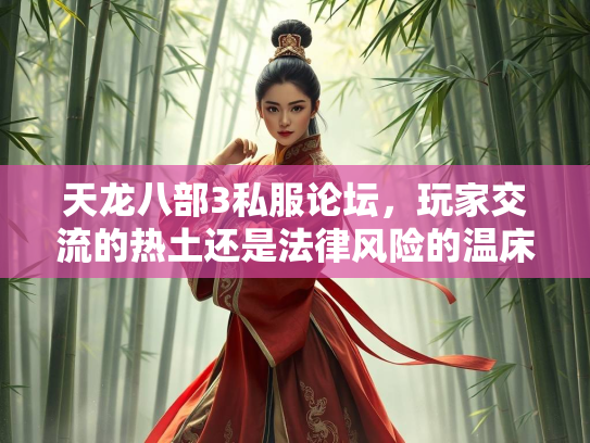 天龙八部3私服论坛，玩家交流的热土还是法律风险的温床？  第3张