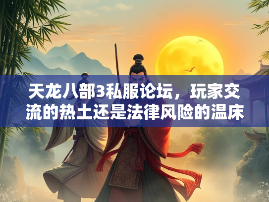 天龙八部3私服论坛，玩家交流的热土还是法律风险的温床？
