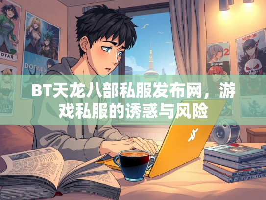 BT天龙八部私服发布网，游戏私服的诱惑与风险  第2张