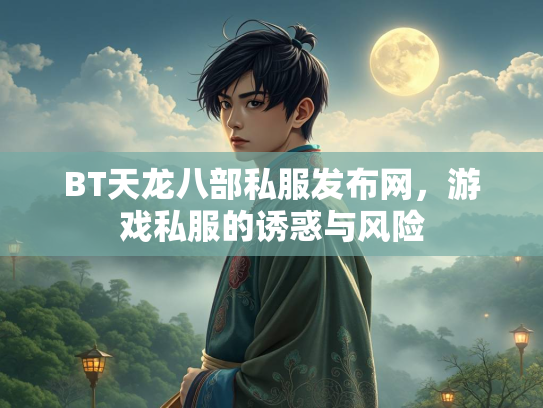 BT天龙八部私服发布网，游戏私服的诱惑与风险  第3张