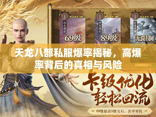 天龙八部私服爆率揭秘，高爆率背后的真相与风险