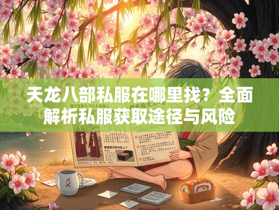 天龙八部私服在哪里找？全面解析私服获取途径与风险