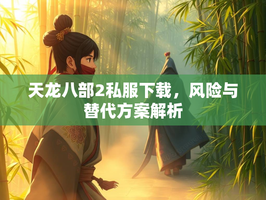 天龙八部2私服下载，风险与替代方案解析  第2张