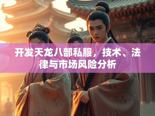 开发天龙八部私服，技术、法律与市场风险分析  第2张