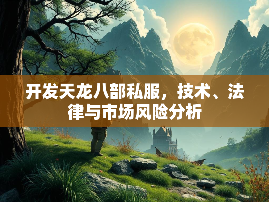 开发天龙八部私服，技术、法律与市场风险分析  第3张