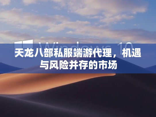 天龙八部私服端游代理，机遇与风险并存的市场