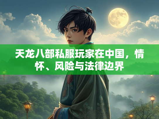 天龙八部私服玩家在中国，情怀、风险与法律边界  第3张