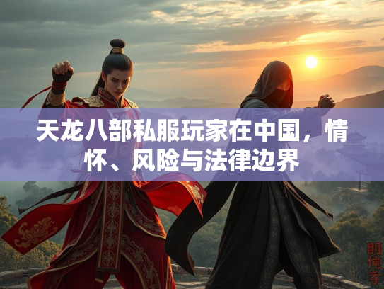 天龙八部私服玩家在中国，情怀、风险与法律边界