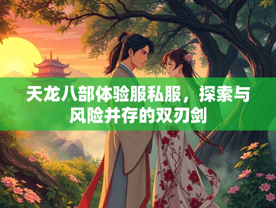 天龙八部体验服私服，探索与风险并存的双刃剑
